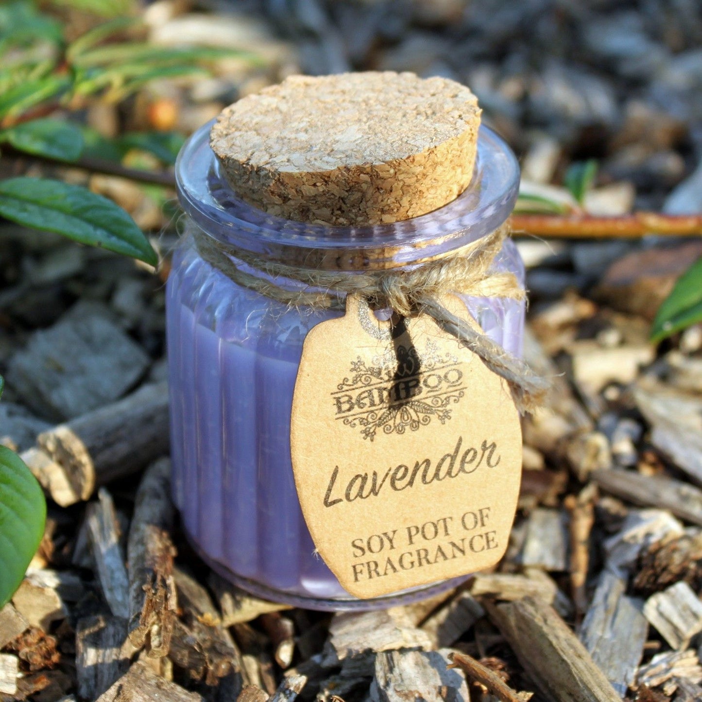 LavenderSoy Wax Candle Pot Set