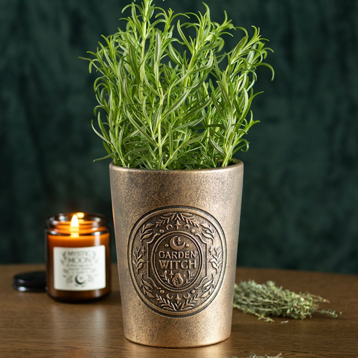plant warrior pots Garden Witch Bronze Effect Terracotta Plant Pot – Divine Warrior