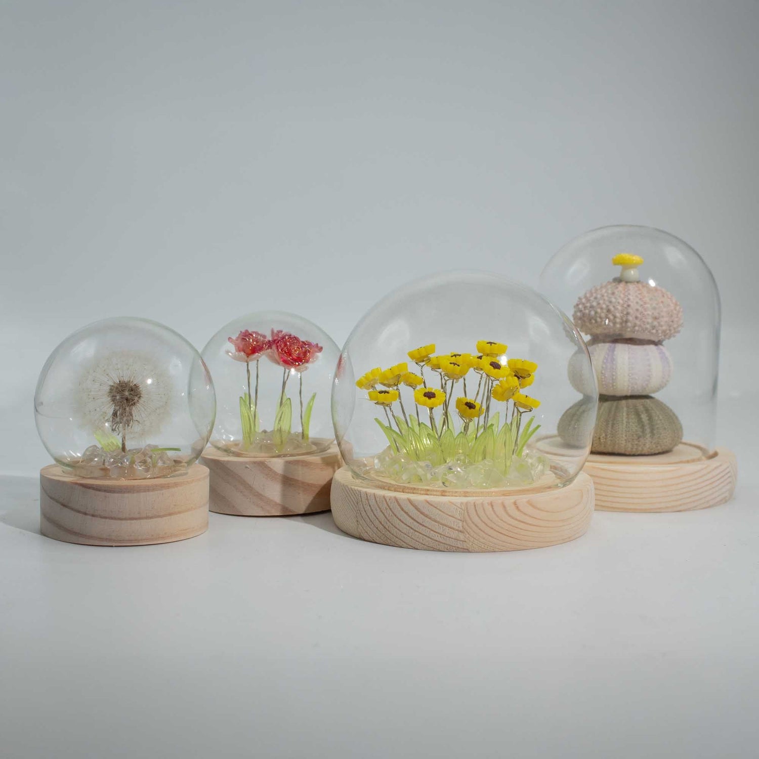 Floral Glow Garden Domes