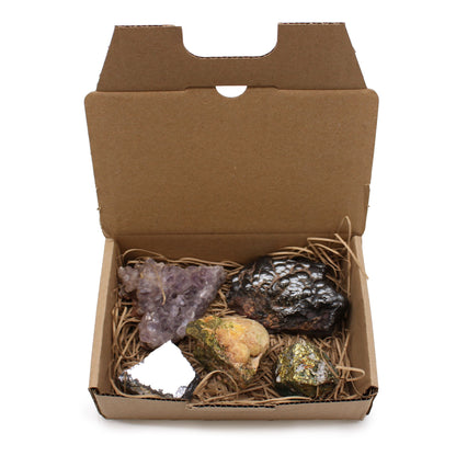 Mineral Specimen Collector's Set | Amethyst, Epidote, Hematite, Galena & Chalcopyrite
