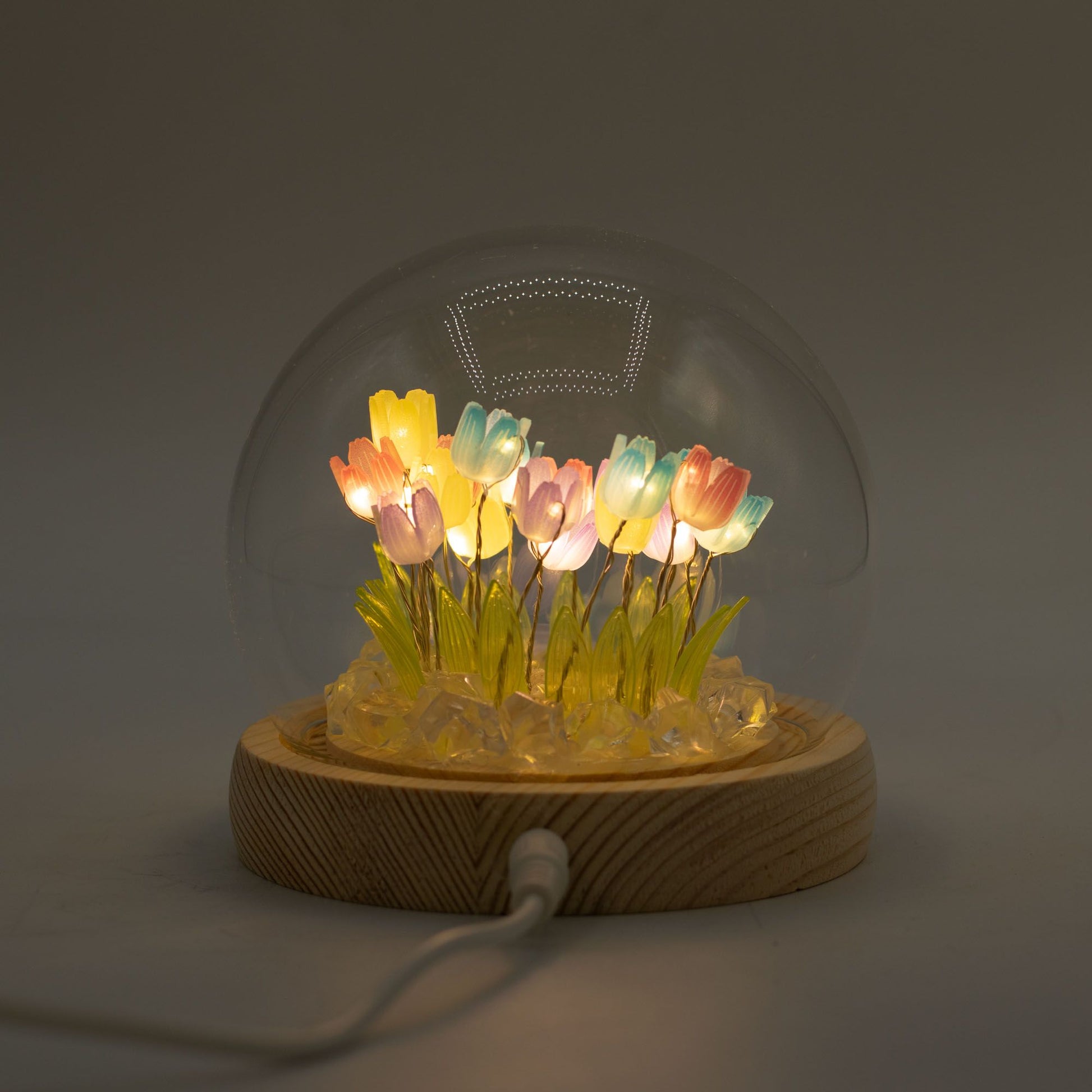 Floral Glow Garden Dome - 20 Multi Tulips