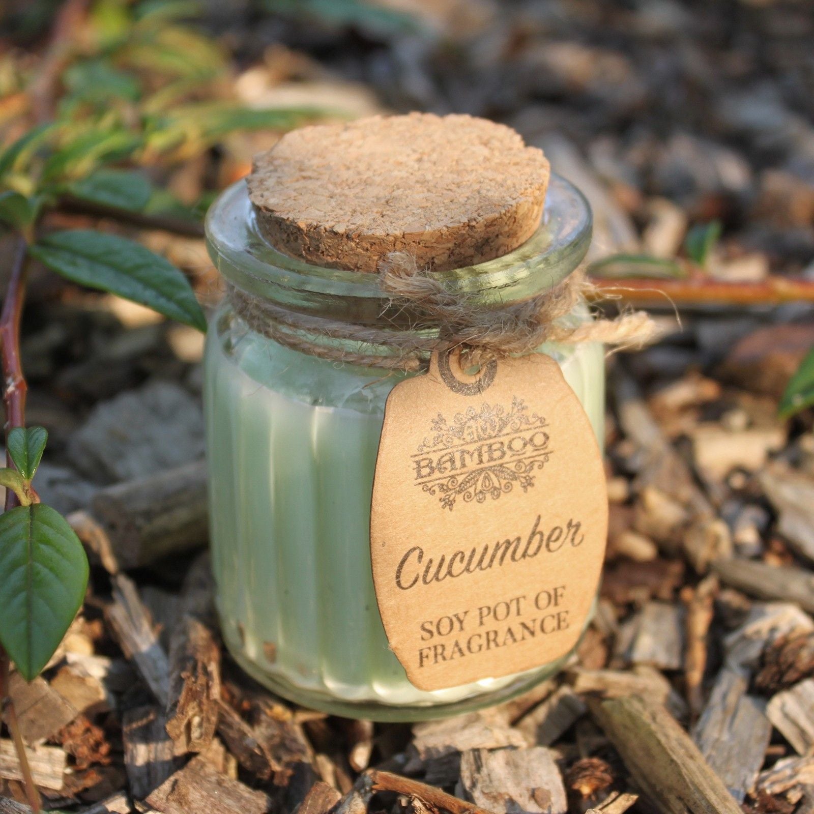 Cucumber Soy Wax Candle Pot Set
