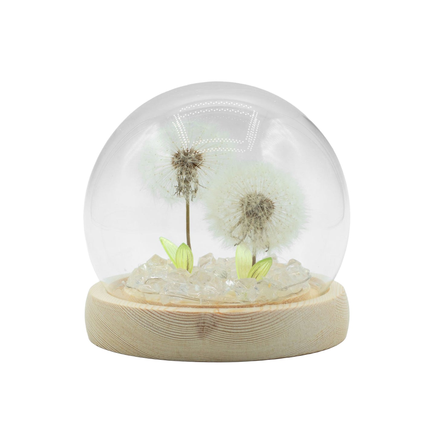 Floral Glow Garden Dome - 2 Dandelions