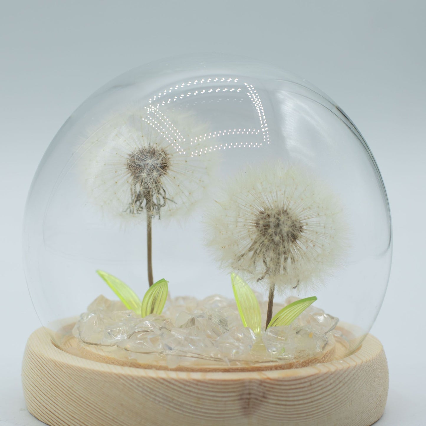Floral Glow Garden Dome - 2 Dandelions