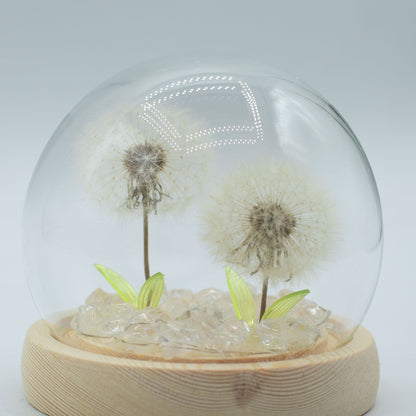 Floral Glow Garden Dome - 2 Dandelions