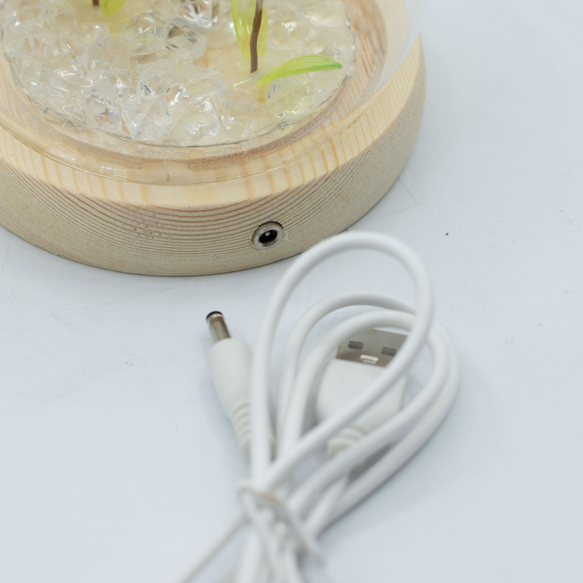 Floral Glow Garden Dome - 2 Dandelions