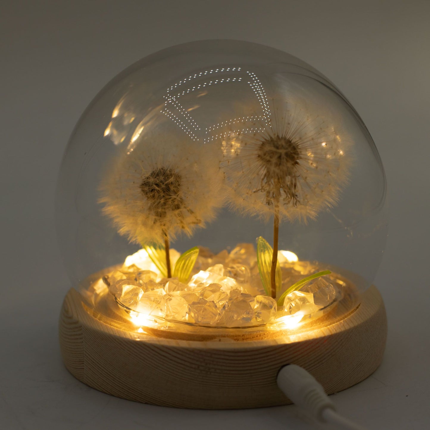 Floral Glow Garden Dome - 2 Dandelions