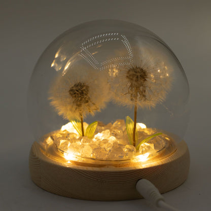Floral Glow Garden Dome - 2 Dandelions