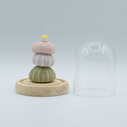 Floral Glow Garden Dome - 3 Sea Urchins