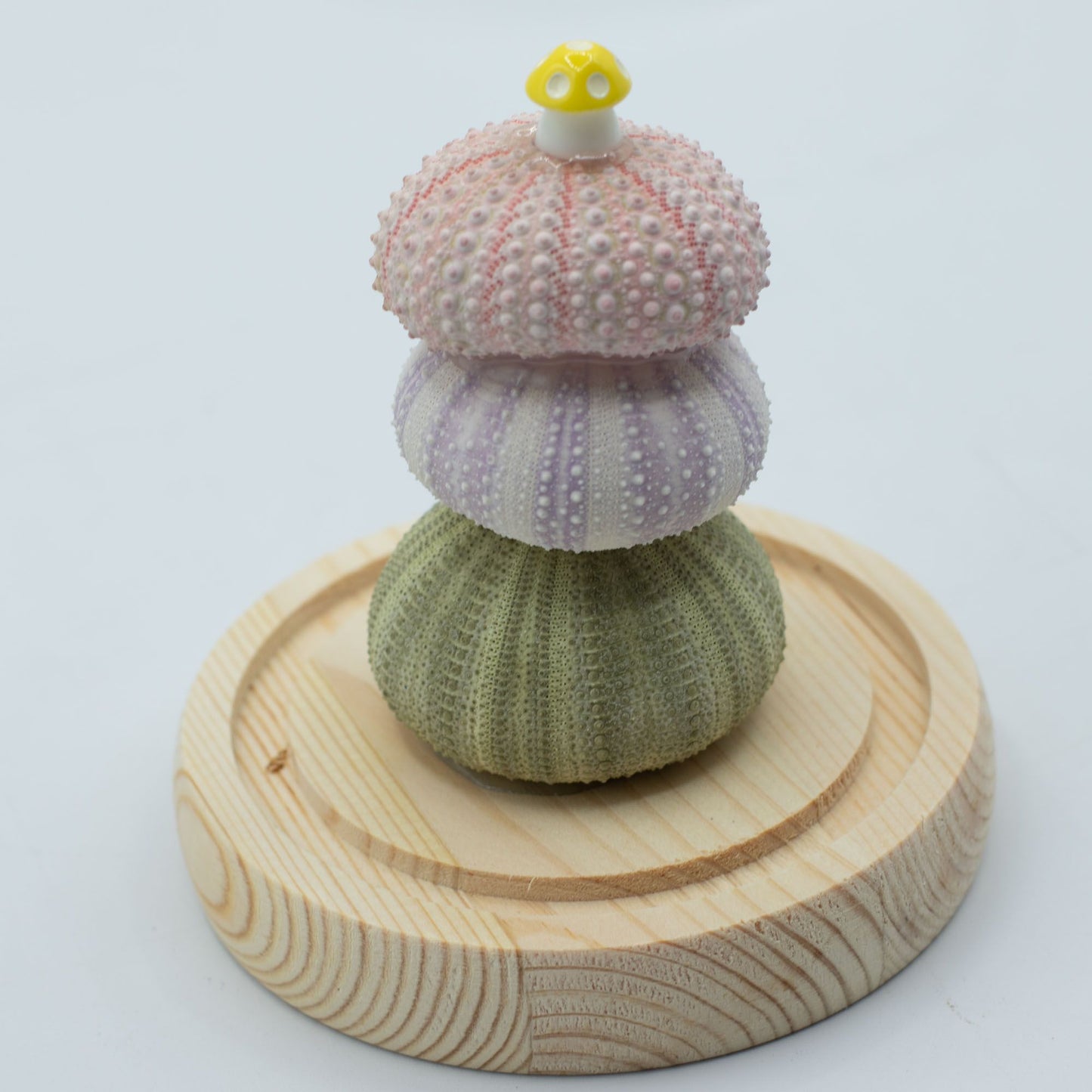 Floral Glow Garden Dome - 3 Sea Urchins