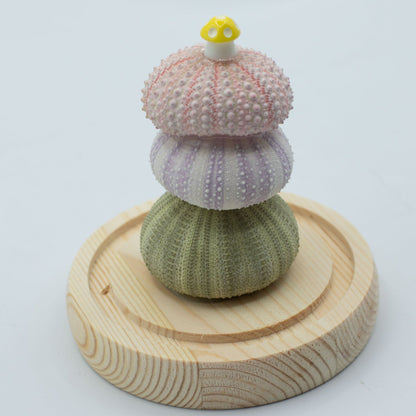 Floral Glow Garden Dome - 3 Sea Urchins