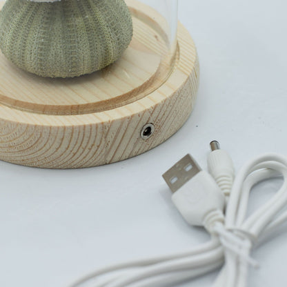 Floral Glow Garden Dome - 3 Sea Urchins