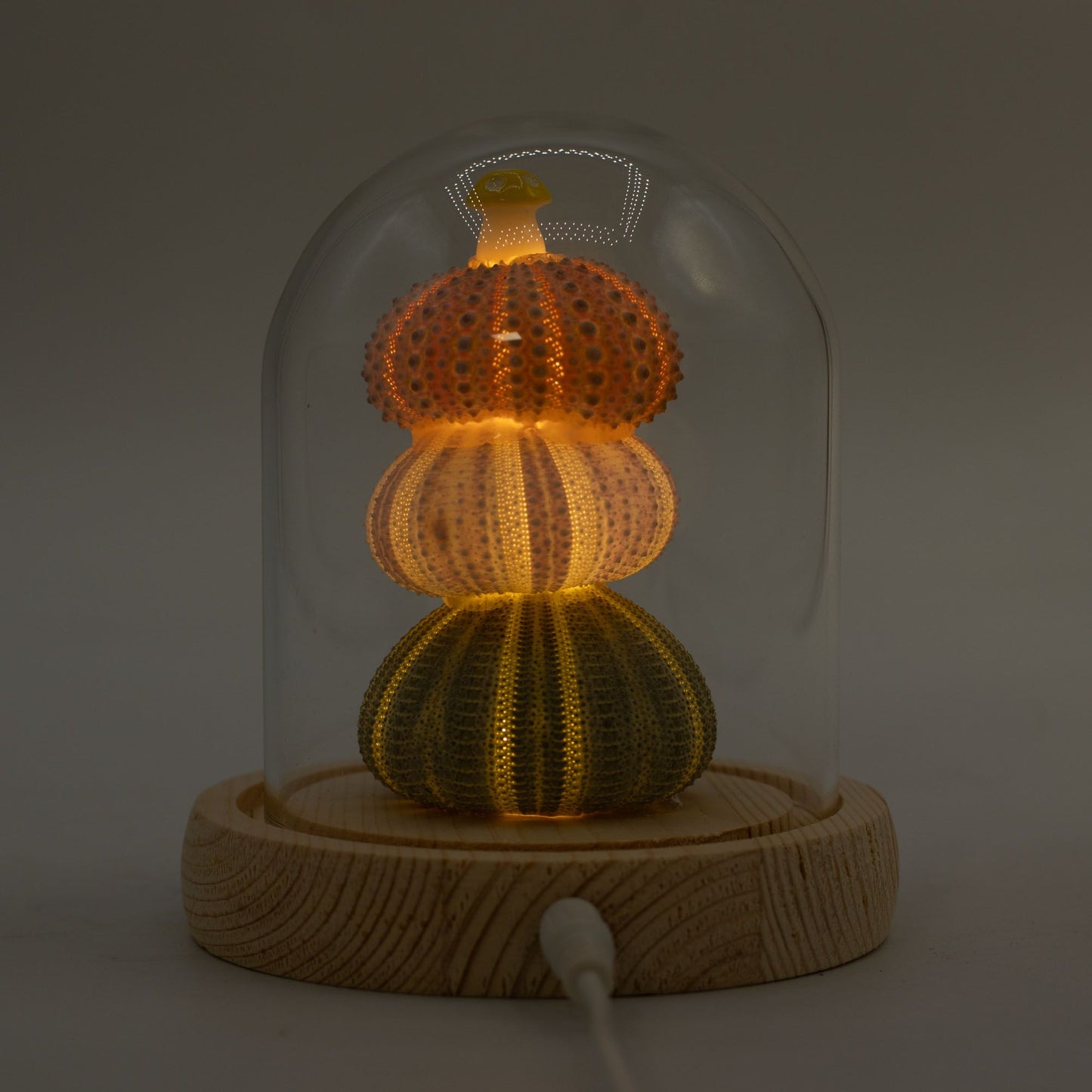 Floral Glow Garden Dome - 3 Sea Urchins