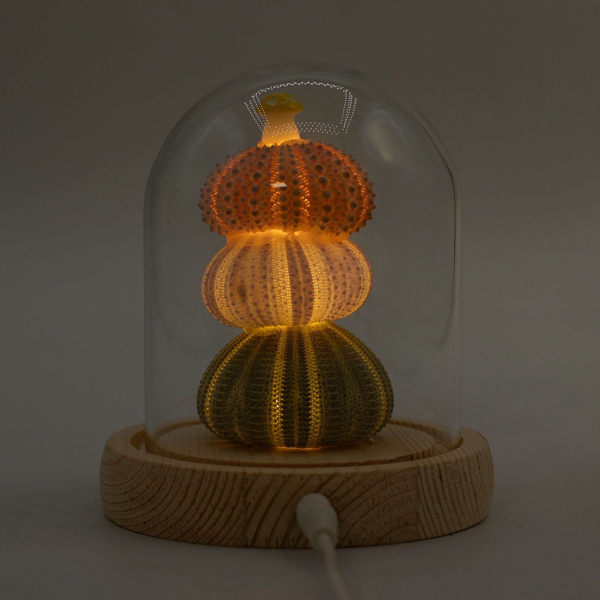 Floral Glow Garden Dome - 3 Sea Urchins