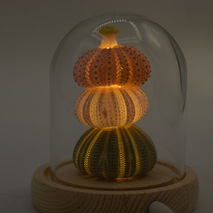 Floral Glow Garden Dome - 3 Sea Urchins