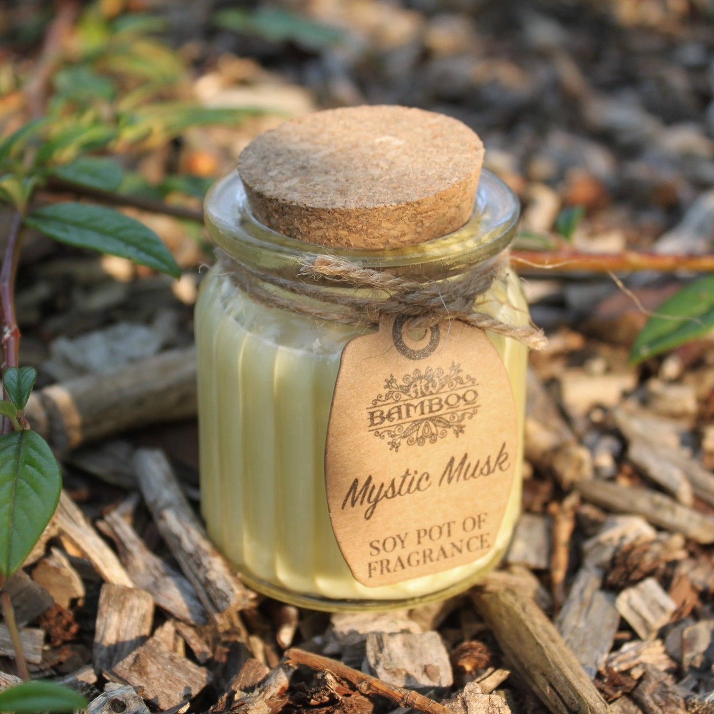 Mystic Musk Soy Wax Candle Pot Set