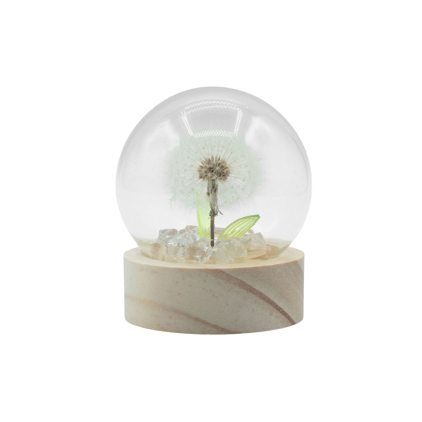 Floral Glow Garden Dome - 1 Dandilion